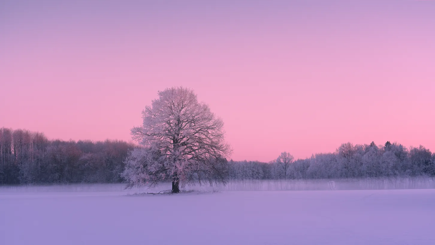 Nature